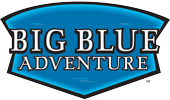 big blue logo